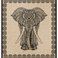 Pareo Elefante/Mandala 240 x 210